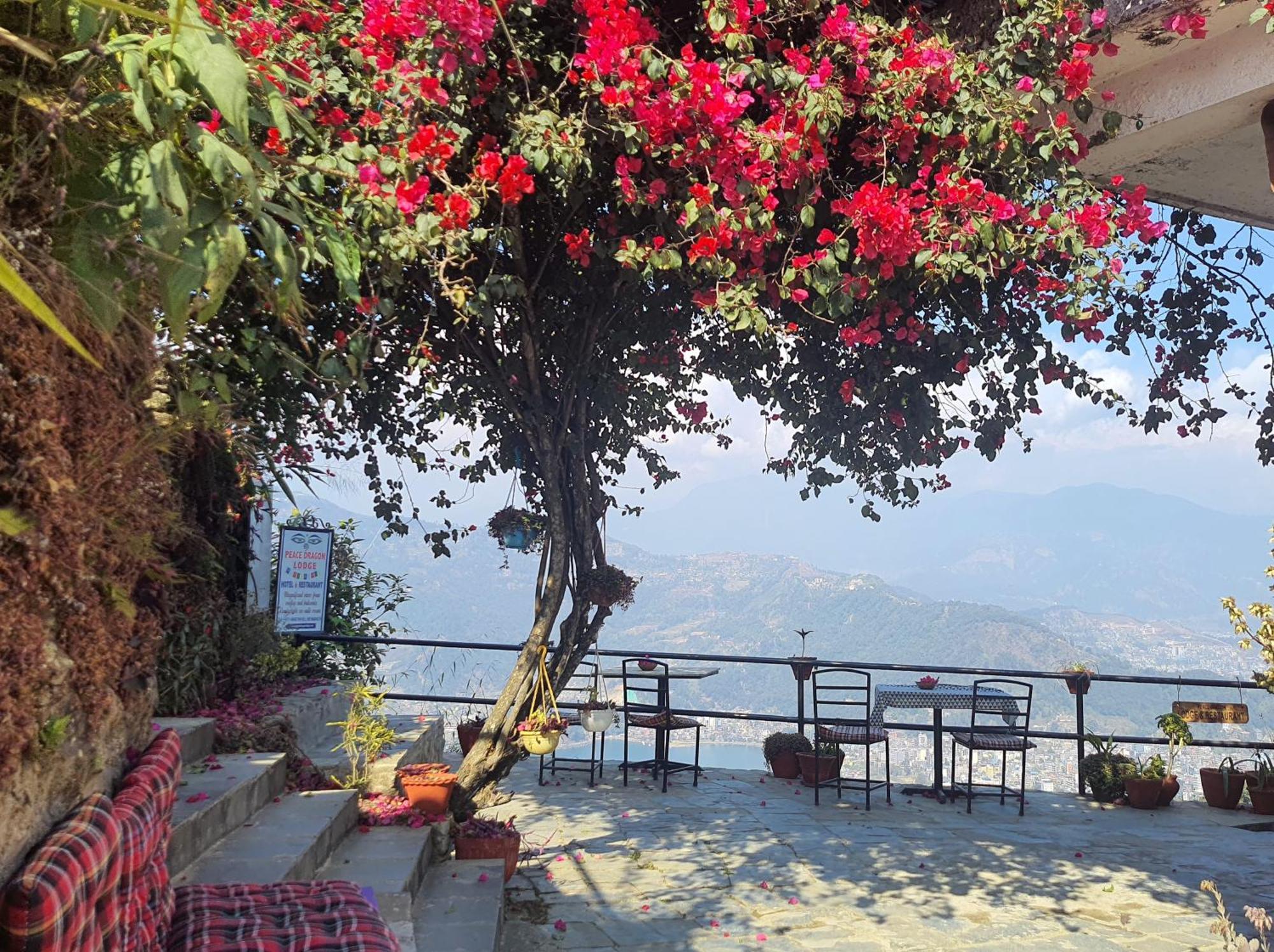 Peace Dragon Lodge Pokhara Exterior photo