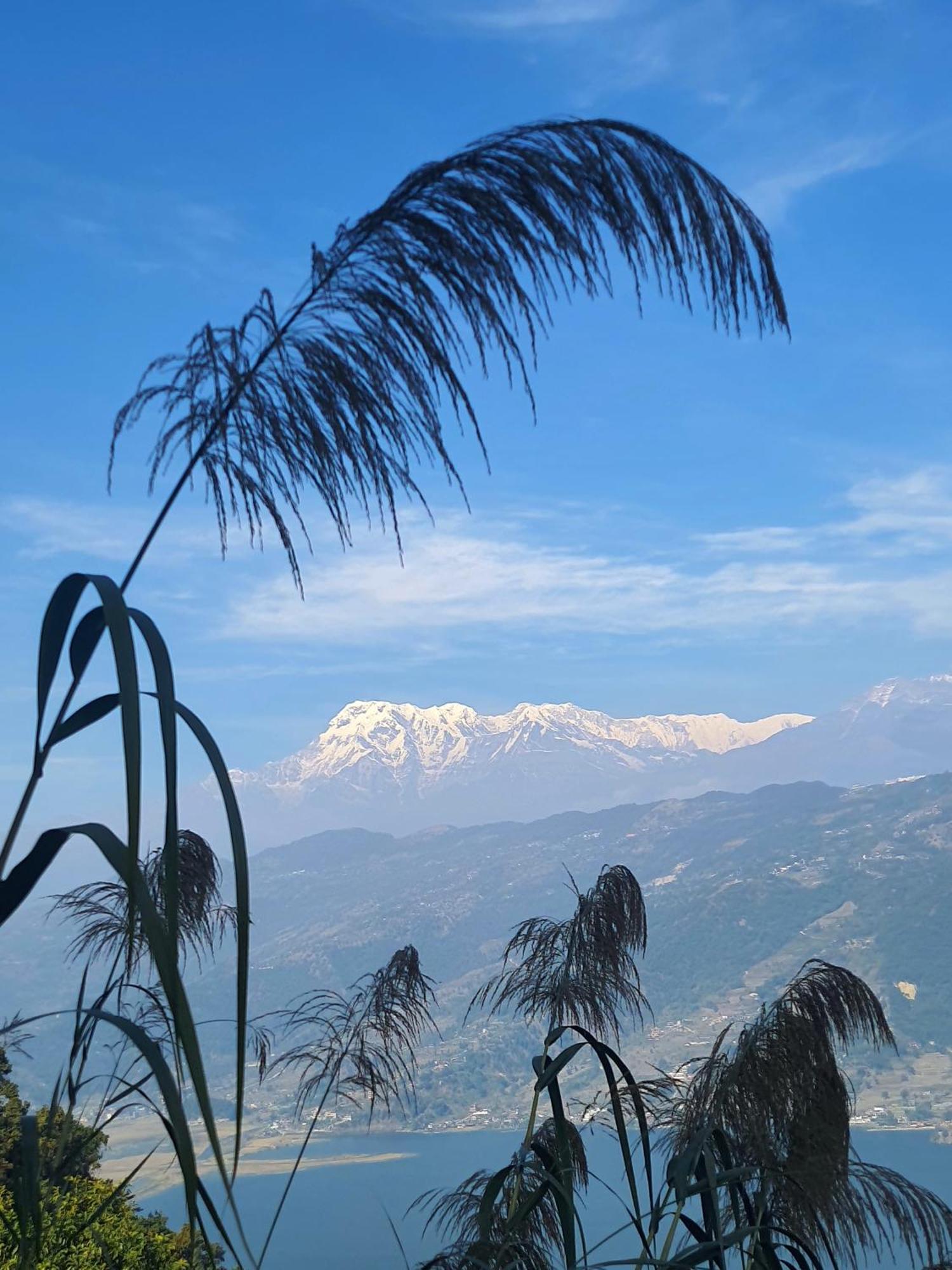 Peace Dragon Lodge Pokhara Exterior photo