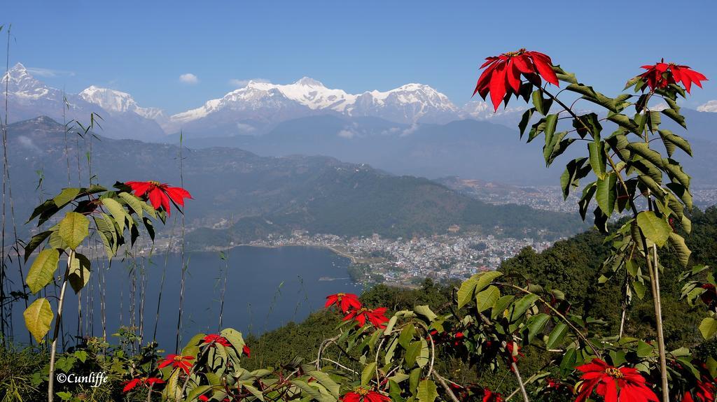 Peace Dragon Lodge Pokhara Exterior photo