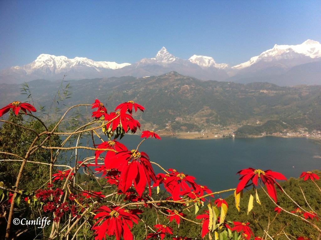 Peace Dragon Lodge Pokhara Exterior photo